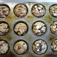 Chocolate chunk blueberry muffins